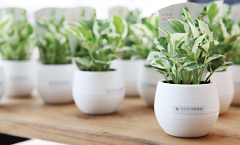 院内の美化を徹底